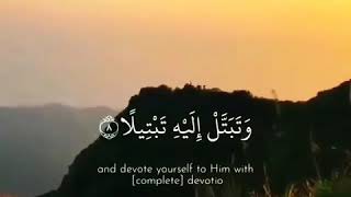 عبد الرحمن مسعد || وَاذْكُرِ اسْمَ رَبِّكَ وَتَبَتَّلْ إِلَيْهِ تَبْتِيلً