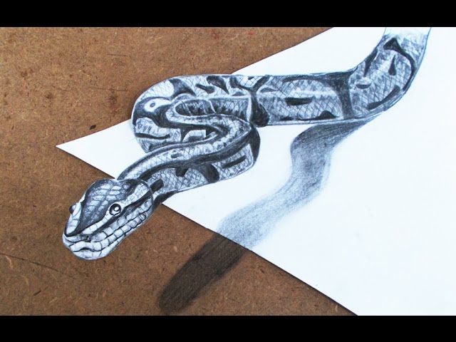 snake 3d Colored Art Drawing