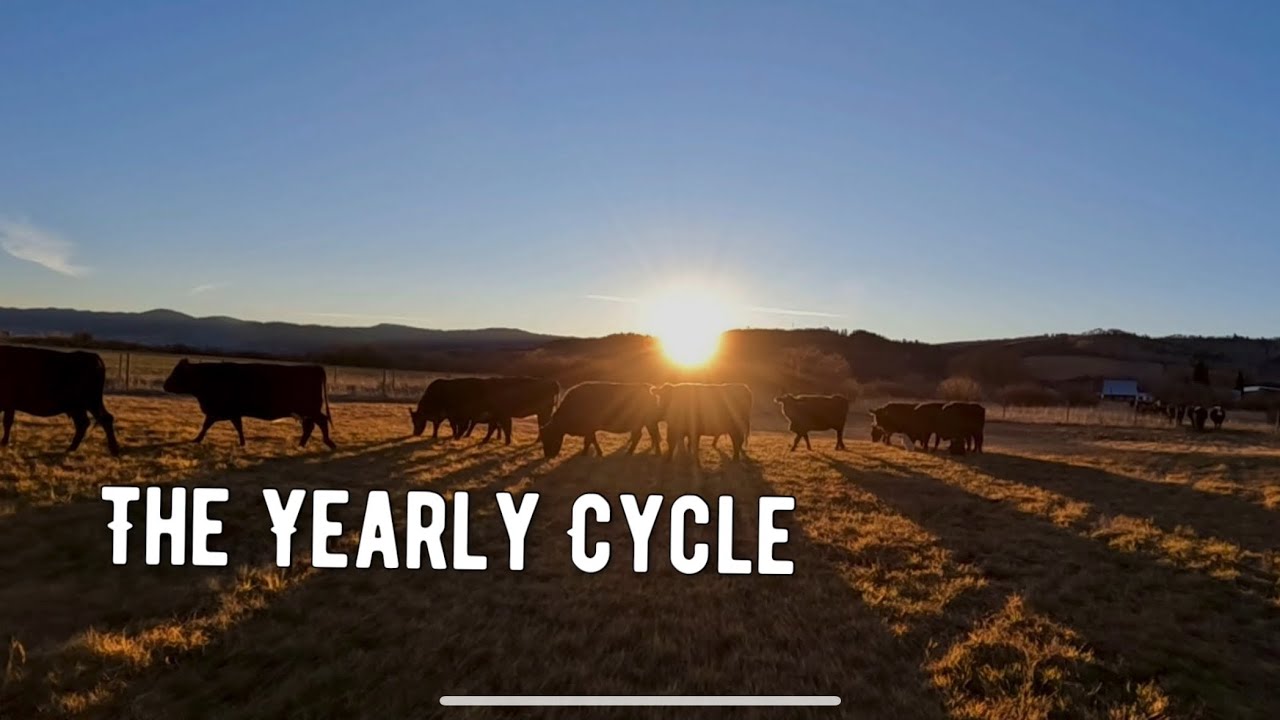 Подведение итогов годового цикла на ранчо