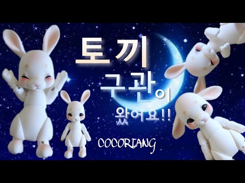 구체관절인형 개봉기 &amp;#39;코코리앙 토비&amp;#39; COCORIANG Tobi 토끼구관 축생구관 <strong>BJD</strong> Unboxing