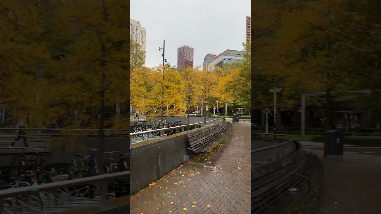 Нидерланды Роттердам  центр Nederland Rotterdam Centrum