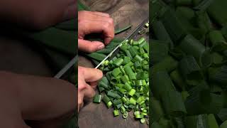 Scallion cutting with the Rui “Azure Dragon” W61F Gyuto #fyp #satisfying #kitchenknife