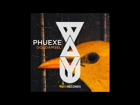 phuexe---die-goldamsel