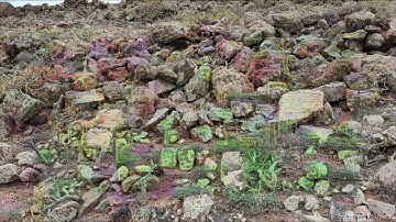 Psychedelic Replication Compilation 2024