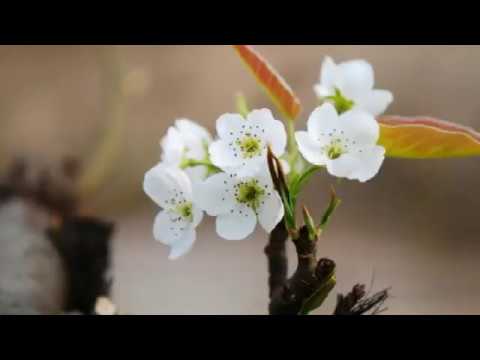 유튜브 미리보기