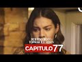 Destino Roto Capítulo 77 (Doblado en Español)