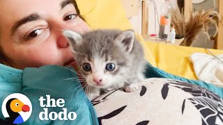 Download Lagu Woman Finds A TINY Kitten In Her Hostel While On Vacation | The Dodo MP3 Download Lagu Woman Finds A TINY Kitten In Her Hostel While On Vacation | The Dodo MP3