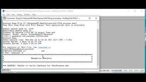7 Run Windbg with the dump file opened