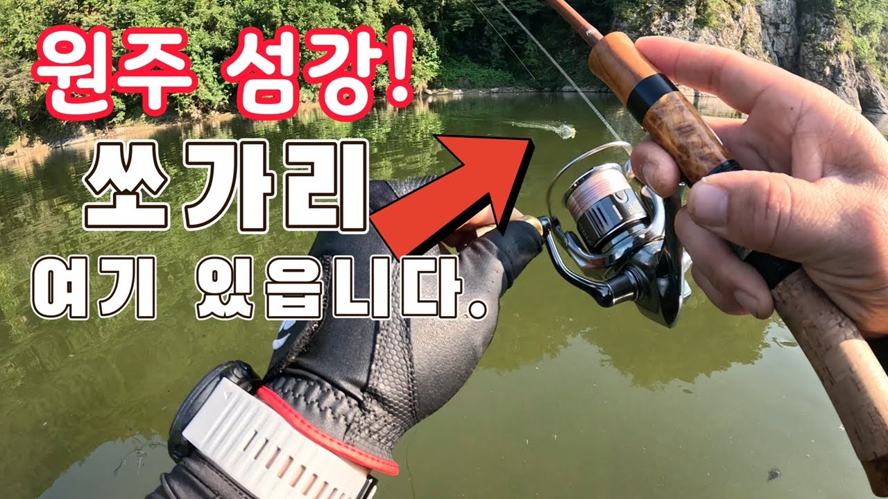 쏘가리낚시 포인트 궁금하면 500m 이상도 걸어가야죠~