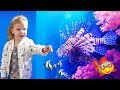 Океанариум Морская сказка (Киев). Отзывы не врут? Aquarium for Kids