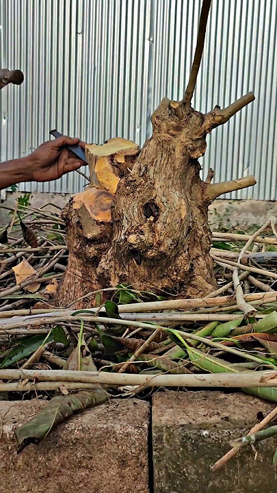 CARVING