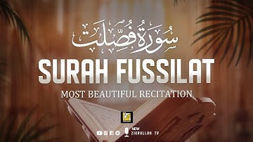 Surah Fussilat (Ha Mim As-Sajdah) - Heart Touching Quran | سورة فصلت | New Zikrullah TV