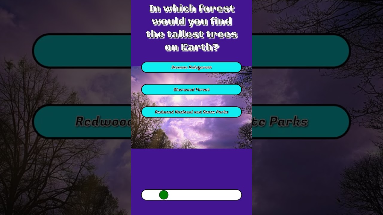 Forest Trivia Challenge