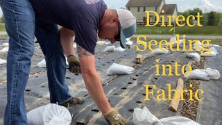 Direct Seeding into Garden Fabric at Strong Roots Farm