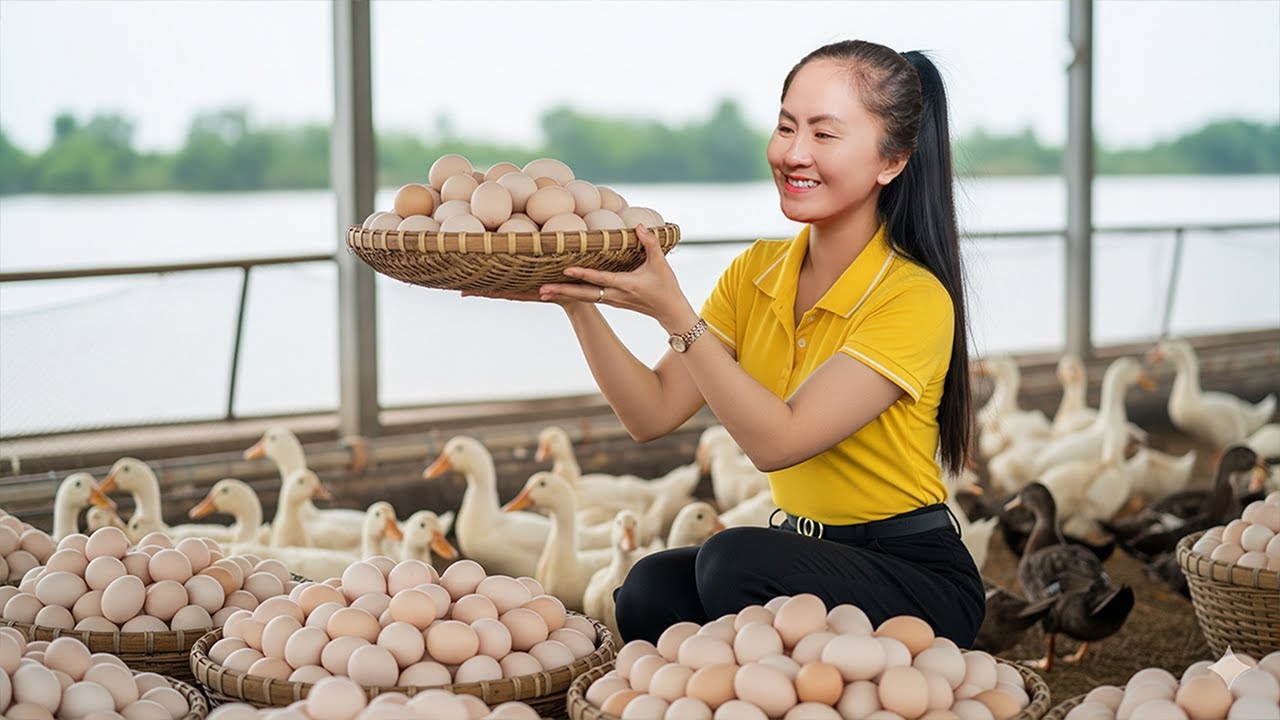 Harvest Duck Eggs – Peaceful Rural Life and Farm Fresh Treasures