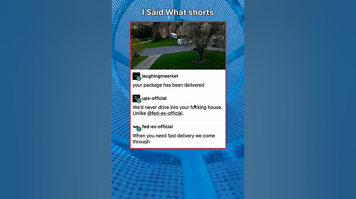 When you need fast delivery We come through #isaidwhat #shorts #memes #Shorts #meme #fyp