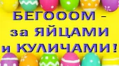 Орхидеи,узамба́рские фиалки,Самара🌺