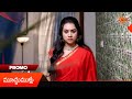 Moodu Mullu- Promo | 16 June 2026 | Telugu Serial | Sun Gemini