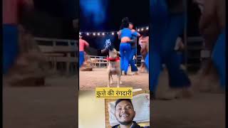 रंगदार n.1