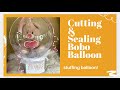 DIY Mothers Day Balloon/Cutting & Sealing  Bobo Balloon// Daisy dhey