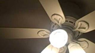 Lollipop - Chordettes - Our Version