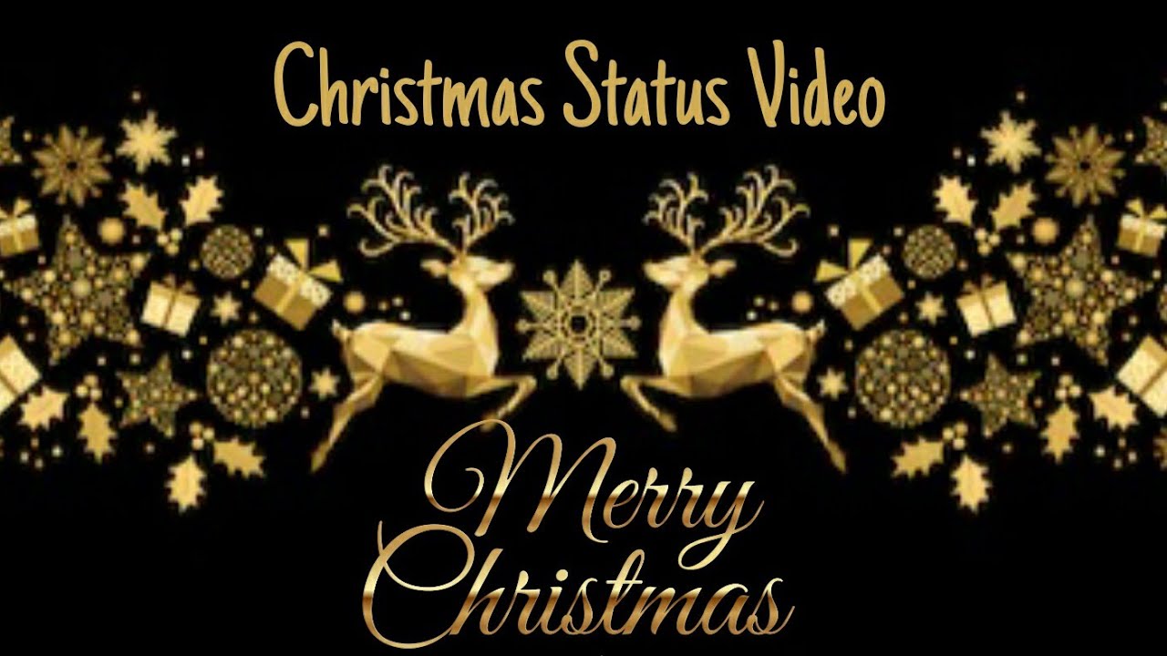 Featured image of post Christmas Images 2020 Video Download : From festive christmas gifts wrapped under the tree to vintage ornaments, cards, and decorations.