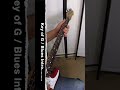 Blues Guitar Intro / Phrase #electricguitar #guitardemo #stratocaster #pov #guitarimprovisation