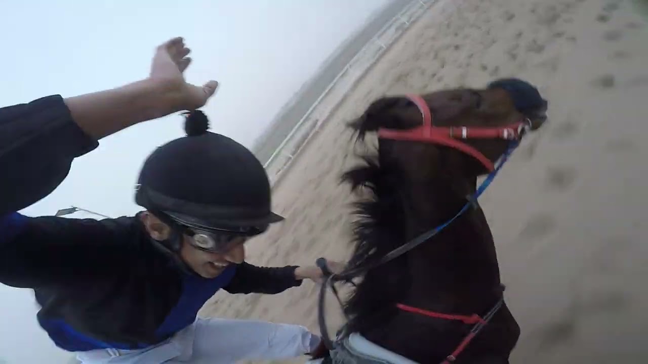 مكسب الحصان المحقان من ميدان الخفجي المسافه 8 F خالد الرويشد 9/ 7/ 1444ه‍