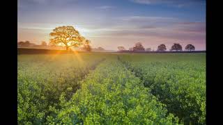 Instrumental - Pacifying Music