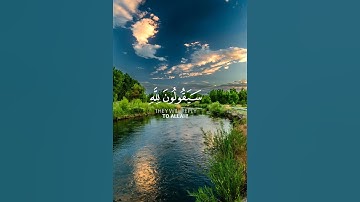#قران_كريم #قرآن #تلاوة_هادئة #تلاوة_خاشعة #السعودية #قطر #مصر #الجزائر #فلسطين #تونس