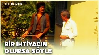 Sütü Bozuk Türk Filmi Bütün Malını Kaybeden Haşim Bahçıvan Oluyor