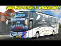 Livery Bussid Rosalia Indah Shd Jernih