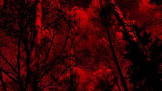 Dark Corner Trailer- Caroline Jacobus