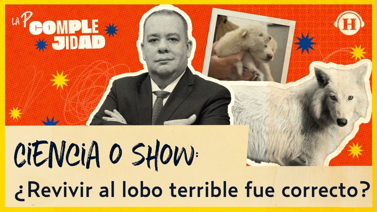 Reviven al lobo terrible ¿show mediático o ciencia? | La P... Complejidad