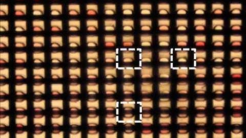 Mesh-integrated microdroplet array for simultaneous merging and storage of single-cell droplets