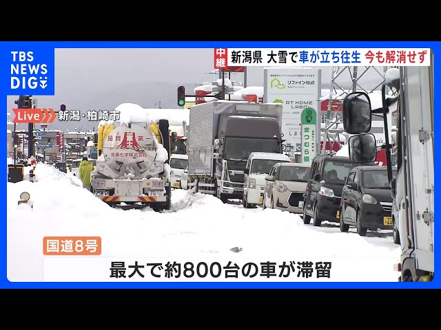 ゆきの様ご確認用 ゆきの様専用】 【公式通販】