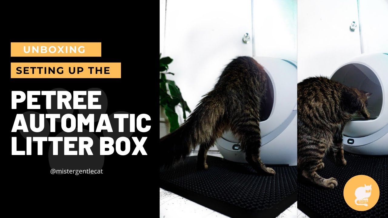 Unboxing The Petree Automatic Litter Box! | No Talking