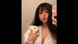 1nonly - bunny girl