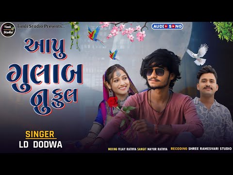 Gulab Nu Ful || Ld Dodwa New Timli Song (2025) || Timli Studio