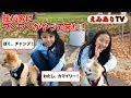 えみあり犬を飼う?!我が家にワンワンがやって来た!☆ Hi! Puppies! Welcome to my house!