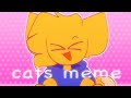 Cats meme  roblox cat noob  loop