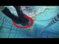 Swimming for Triathlon
