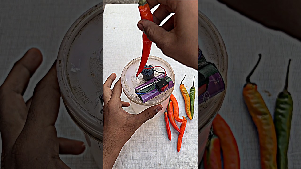 Powerful Mini Chilli Cutter Machine 🌶️ DIY | Easy Home Project 