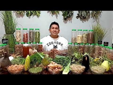 Vídeo: Plantas Y Mdash; ¿seres Sensibles? - Vista Alternativa