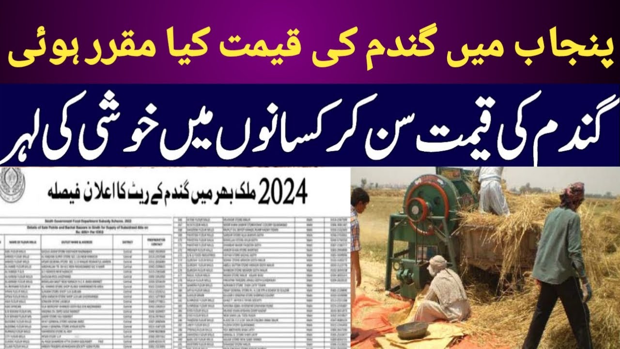 New wheat price 2024 | Gundam ka rate 2024 | wheat rate 2024 | wheat ...