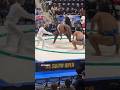 Sumo Match Ends With a Shocking Twist! #japan #wrestling #ufc #sumo #sports