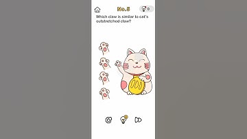 Brain out level 5 solved