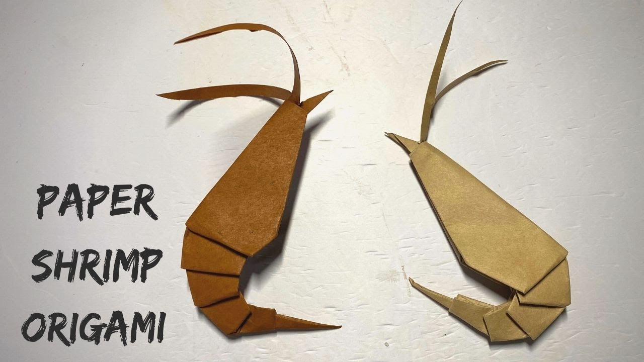 How to Make a Paper Shrimp | animal craft Step by Step