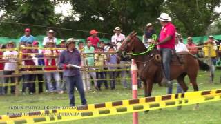 PRIMER  FESTIVAL DE CABALLO CRIOLLO DE VAQUERÍA  MACHUCA –TIERRALTA