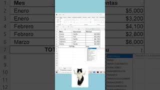 FUNCIÓN SUBTOTALES  #aprendeexcel #oficina #tipsexcel #analisisdedatos